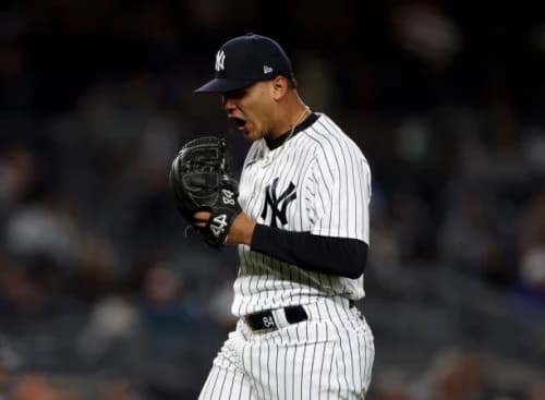 Albert Abreu: A Journey of Resilience in Baseball