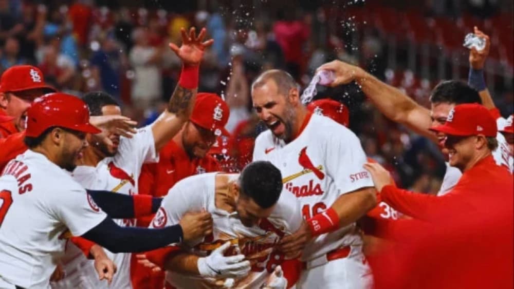 The St. Louis Cardinals: A Century of Excellence in Baseball
